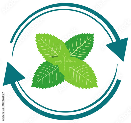Fresh mint leaves in a circular arrow frame symbolizing sustainability and eco friendly products
