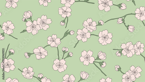 Beautiful seamless pattern of pink cherry blossoms on thin branches over a soft green background for spring time decorations.