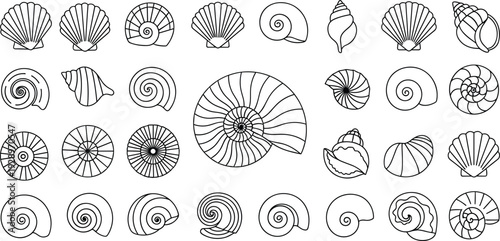 Decorative seashell line icon set featuring various marine mollusk shapes including spiral nautilus shells, scallop shells, conch shells, and symmetrical sea snail designs.