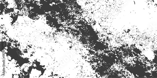 Wallpaper Mural Abstract black and white grunge background featuring a vintage ink splatter texture with a floral vector pattern and a decorative paint spray border illustration Torontodigital.ca