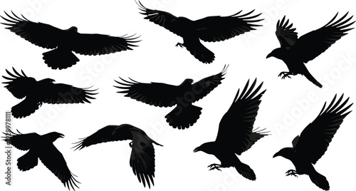 Black and White Silhouette Vector Illustrations of Various Dog Breeds Sitting Including German Shepherd Golden Retriever Poodle and Great Dane flavector