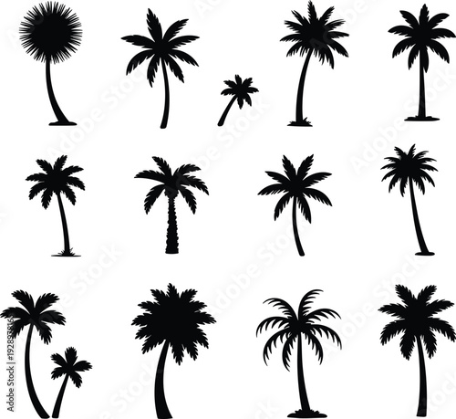Variety of Palm Tree Silhouettes on White Background tropical nature