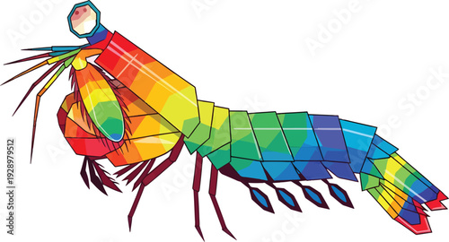 Rainbow mantis shrimp in a vibrant geometric low-poly vector style isolated on white background