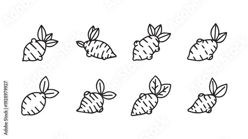 Eight Hand Drawn Carrots with Green Tops Arranged in Two Rows on White Background