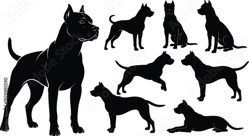 Powerful American Pit Bull Terrier Silhouettes Set Featuring Vector Black Dog Outlines in Various Poses Including Standing Sitting Running and Lying Down Isolated