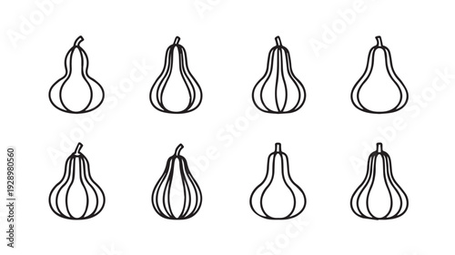 Gourd outlines on white background simple line art collection seasonal autumn harvest illustration graphic design element