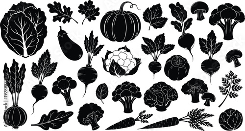 Vegetable silhouettes set with cabbage pumpkin eggplant broccoli carrot radish mushroom tomato organic farm produce vector illustration collection