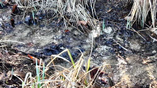 A small creek winds its way through thick dry grass and reeds, with sunlight reflecting on the moving water.