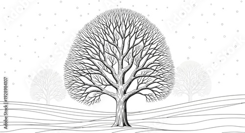 Stunning bare winter tree silhouette against a snowy landscape, detailed branches, and soft falling snow