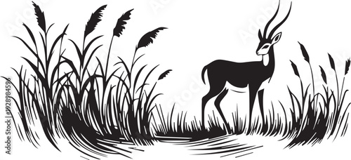 Gazelle Standing in Tall Grass and Reeds