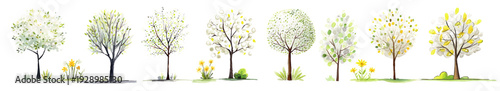 Set of Spring Trees with delicate flowers, Watercolor Vector Illustration isolated on white background. Tree Avenue with yellow flowers.