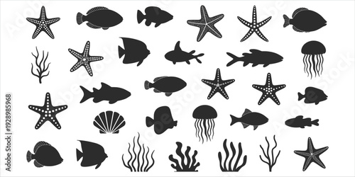 Assortment of Black Marine Life Silhouettes Including Fish Starfish and Jellyfish white background