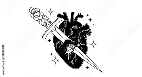 Anatomical heart pierced by a dagger illustration surrounded by stars