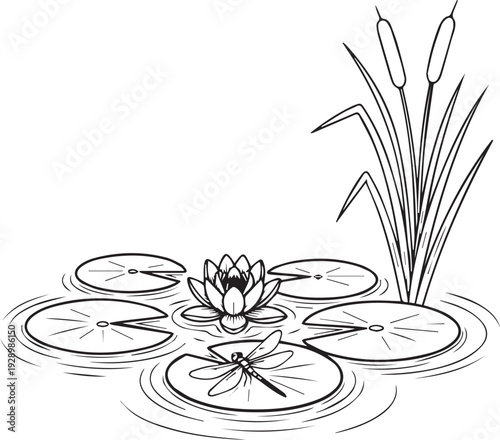 Water Lily and Dragonfly Pond Illustration