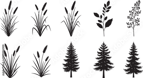 Black Nature Silhouette Collection Evergreen Trees, Grasses, and Leafy Branch Vector Illustrations Isolated on White