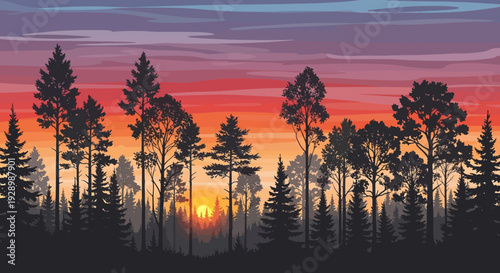 Silhouetted Trees Against Vibrant Sunset Sky.