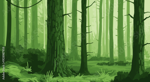 Tall Trees in Forest with Green Foliage.