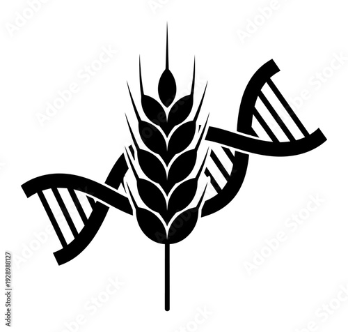 Drought Resistant Crops - DNA & Wheat Illustration