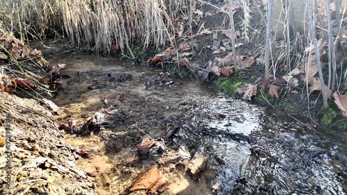 A wide shot of a shallow stream flowing over a muddy bed covered with fallen autumn leaves and dry grass.
