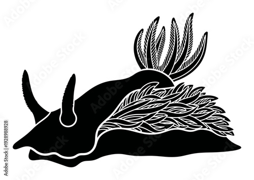Photos Nudibranch Illustration - Minimalist Sea Slug Vector