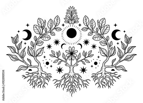 Botanical Woodcut Illustration - Esoteric Floral Design