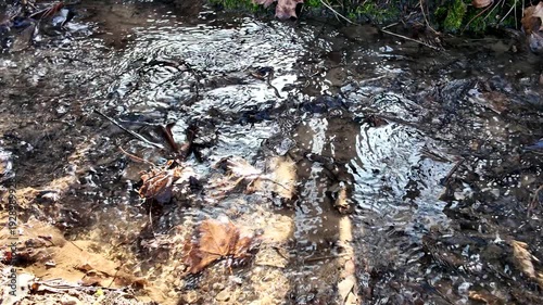 Close-up of clear water rippling over a stony bed with fallen leaves and bright sun reflections on the surface.