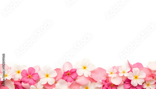 Scattered flower petals on white background, beauty and tranquility