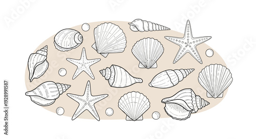 A charming hand-drawn illustration featuring a variety of seashells and starfish arranged in an oval shape on a light beige background.