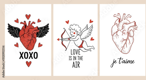 Set of three vintage-style Valentine's Day cards featuring anatomical hearts, cupid, and romantic messages like XOXO and je t'aime.