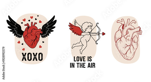 Three vintage-style illustrations featuring winged hearts, Cupid, and anatomical hearts with romantic text.