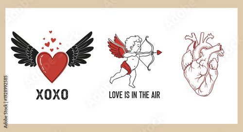 This image features three distinct love-themed illustrations: a winged heart with "XOXO", a cupid with "LOVE IS IN THE AIR", and an anatomical heart.