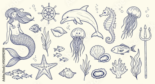A charming collection of hand-drawn marine life and mythical creatures, including a mermaid, dolphin, seahorse, jellyfish, starfish, shells, and aquatic plants.