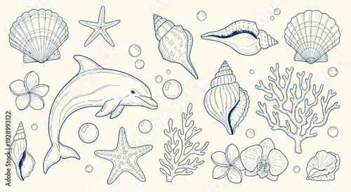 A charming hand-drawn illustration featuring a playful dolphin surrounded by various marine elements like seashells, starfish, coral, and flowers, set against a textured background.