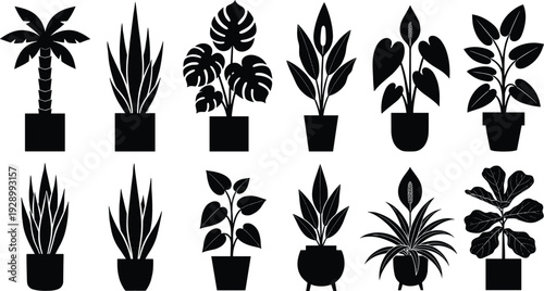 Set of indoor house plant silhouettes in pots featuring monstera, palm, and snake plants for home decor and interior design.