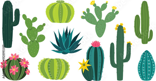 Cactus Plant Icons Set Featuring Colorful Cactus Varieties and Flowers