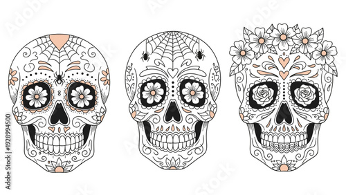 Trio of intricately decorated sugar skulls featuring floral and spider web patterns with delicate pink accents for coloring or decor.