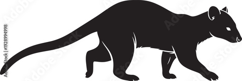 Black fossa silhouette walking in side profile with long tail isolated on white background