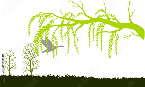 Green silhouette of a willow tree branch with flying birds and grass, perfect for nature, spring, botanical, and garden-themed logo, wall art, and graphic design projects