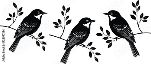 Bird silhouette illustration set perched on branches, decorative nature and wildlife artwork, elegant black and white botanical design isolated on white background