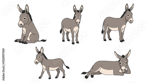 Detailed illustrations of a grey donkey in various natural poses including sitting and walking for farm animal educational content.