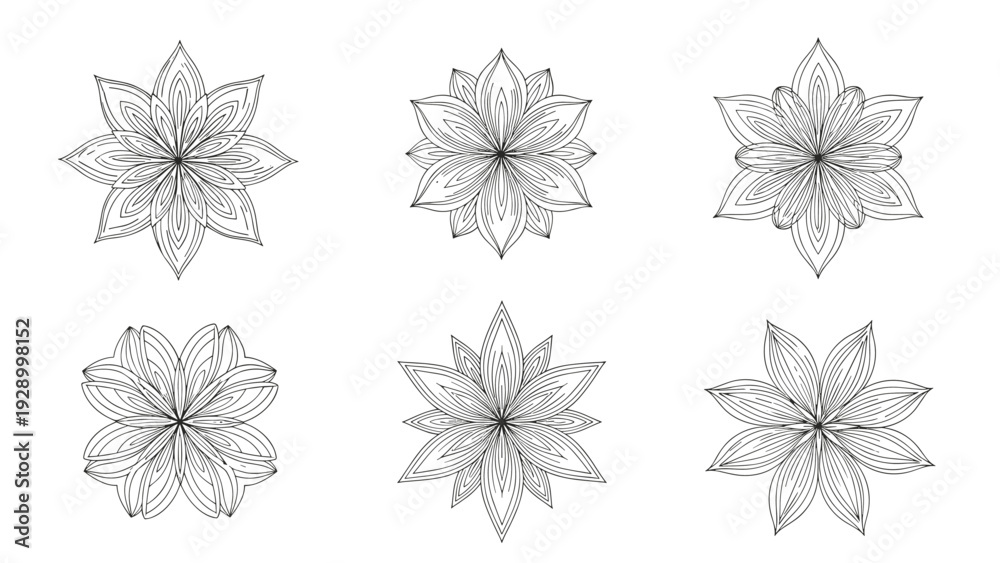 Obraz premium Detailed geometric flower and mandala star shapes illustrated in fine line art for intricate pattern and tattoo designs.