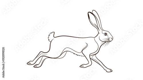 Graceful brown hare in mid-run illustrated with long ears and powerful legs for wild animal nature and wildlife themes.