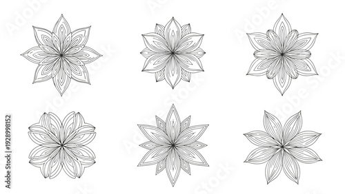 Detailed geometric flower and mandala star shapes illustrated in fine line art for intricate pattern and tattoo designs.