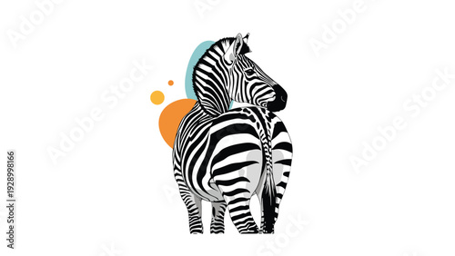 Stylish zebra illustration looking back with black and white stripes in front of modern geometric shapes for wall art.