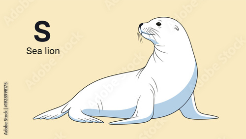 Sea lion illustration showing a sleek white animal with long whiskers and a dark eye next to a large letter S and the word sea lion.