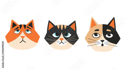 Three stylized cat faces with different fur patterns and markings in a modern geometric and colorful illustration style.