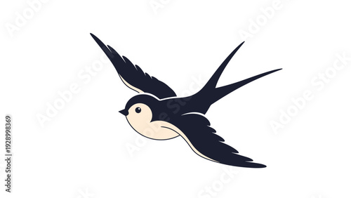 Swallow bird with dark wings and light underbelly flying gracefully through the air on a plain white background.