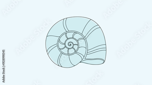 Minimalist line art illustration of a nautilus shell with light blue shading against a plain background.