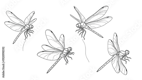 Set of dragonfly line art illustrations showing the insects in flight with motion lines on a white background.