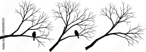 Minimal black tree branch silhouette with perched birds, elegant nature illustration, abstract winter forest design, monochrome botanical artwork isolated on white background